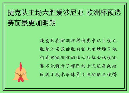 捷克队主场大胜爱沙尼亚 欧洲杯预选赛前景更加明朗